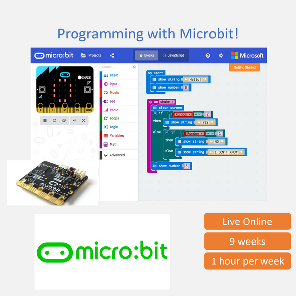 Electronics 101: Introduction to Electronics and Programming with Micr ...