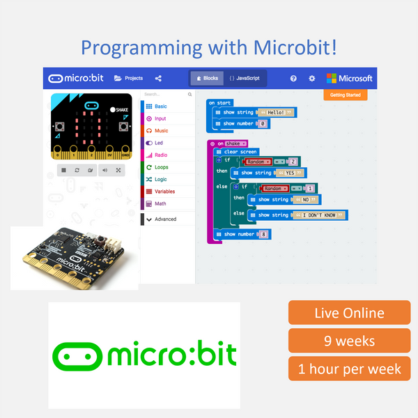 Electronics 101: Introduction to Electronics and Programming with Microbit